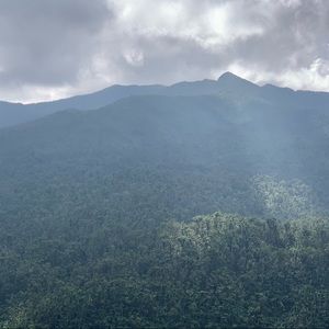 Meet your Posher, Pulin